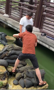 黨員先行作表率 防汛一線顯擔當(圖3) 黨員先行作表率 防汛一線顯擔當(圖3)